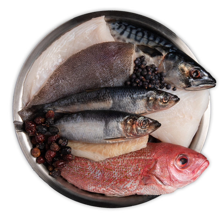 ORIJEN Six Fish Cat Food