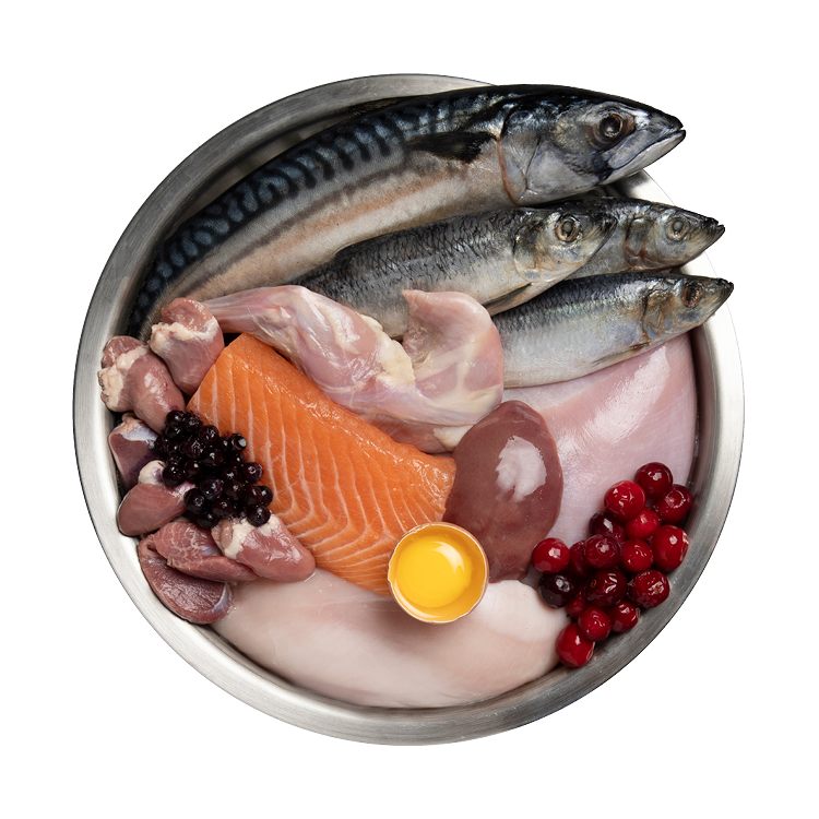 Wholeprey Ingredient Bowl