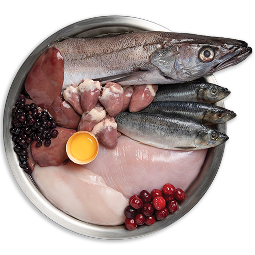 Wholeprey Ingredient Bowl