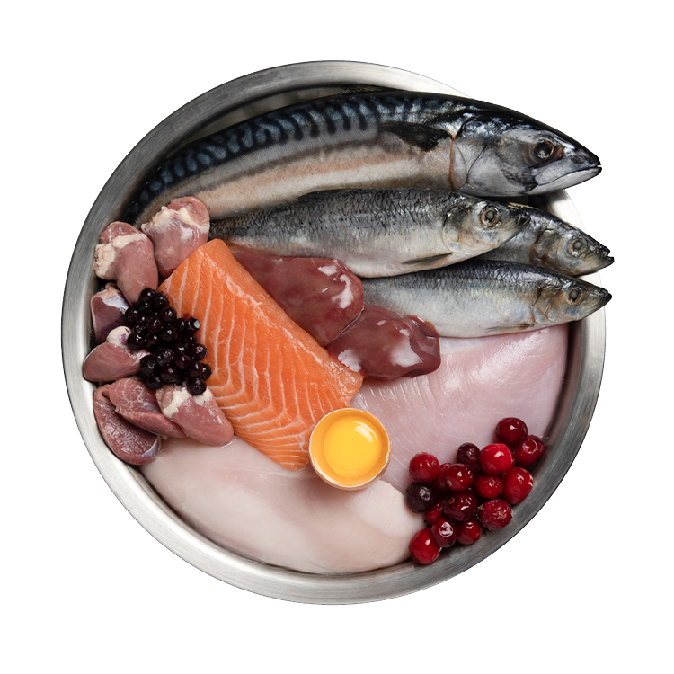 完整獵食食材碗