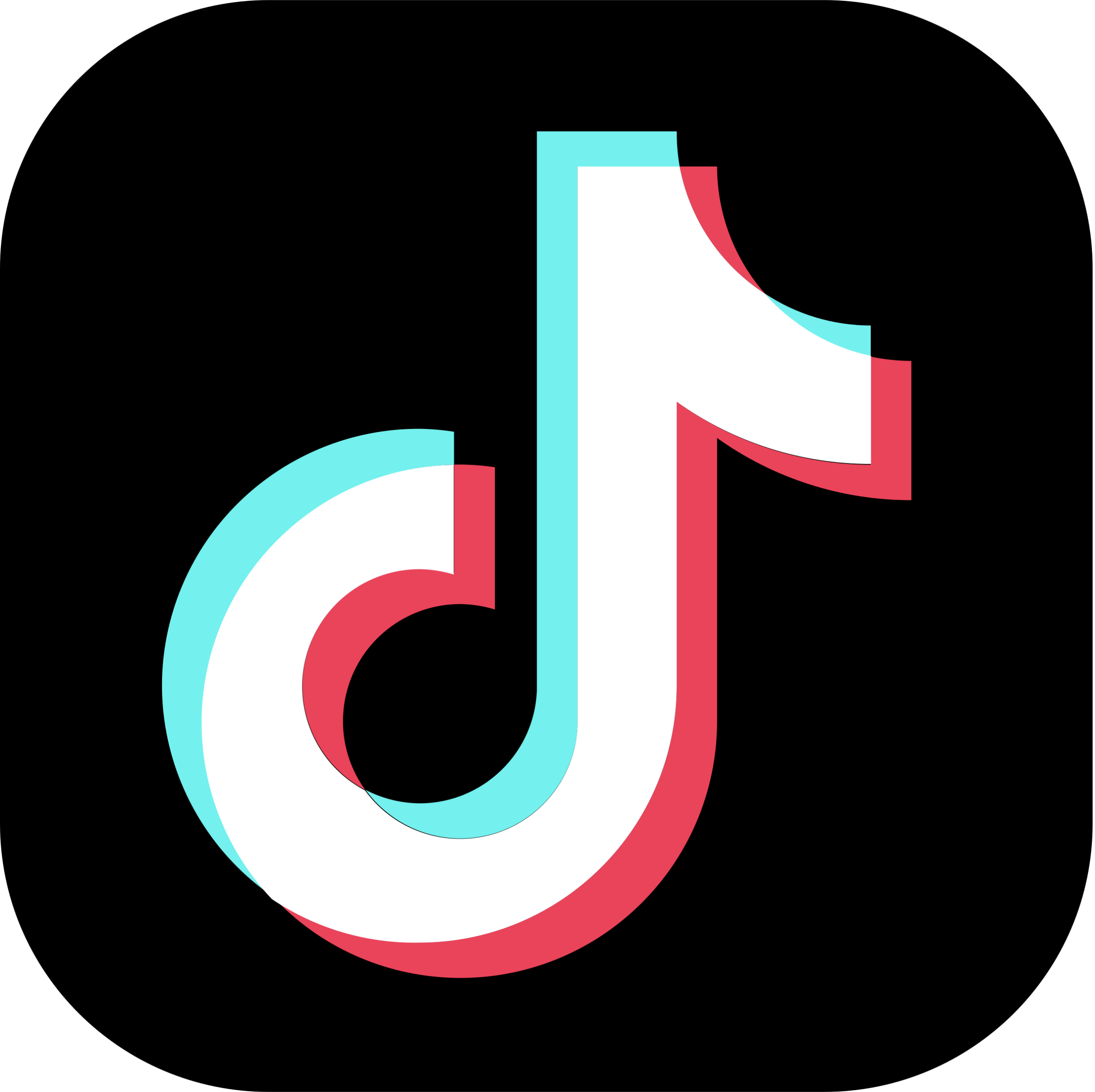 TikTok Platform